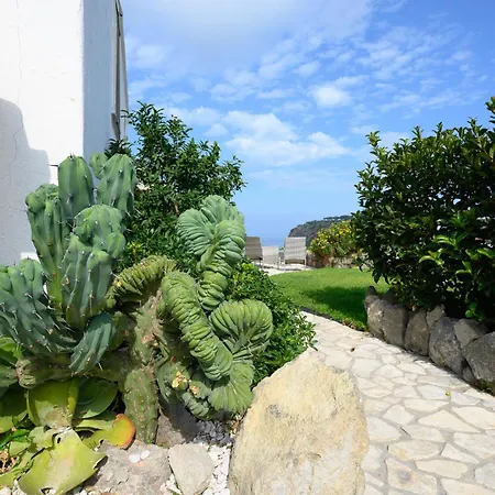 Belgodere Di Mezzavia 4*