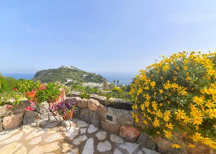 Belgodere Di Mezzavia 4* Lacco Ameno (Isola d'Ischia)