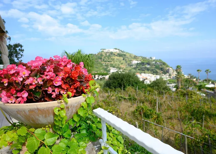 Belgodere Di Mezzavia Bed and breakfast 4*